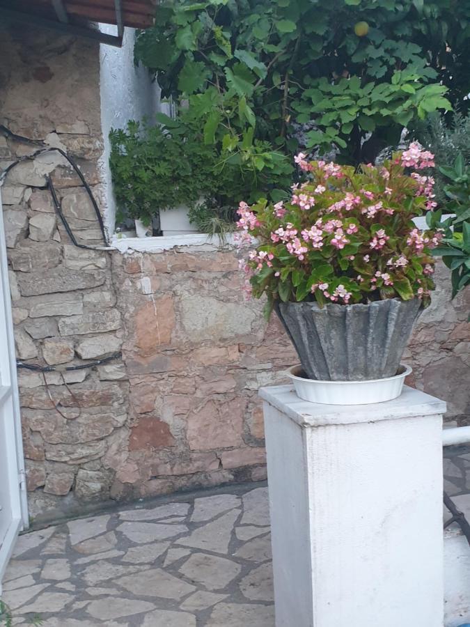 Pensjonat Rosemary House Saranda Zewnętrze zdjęcie