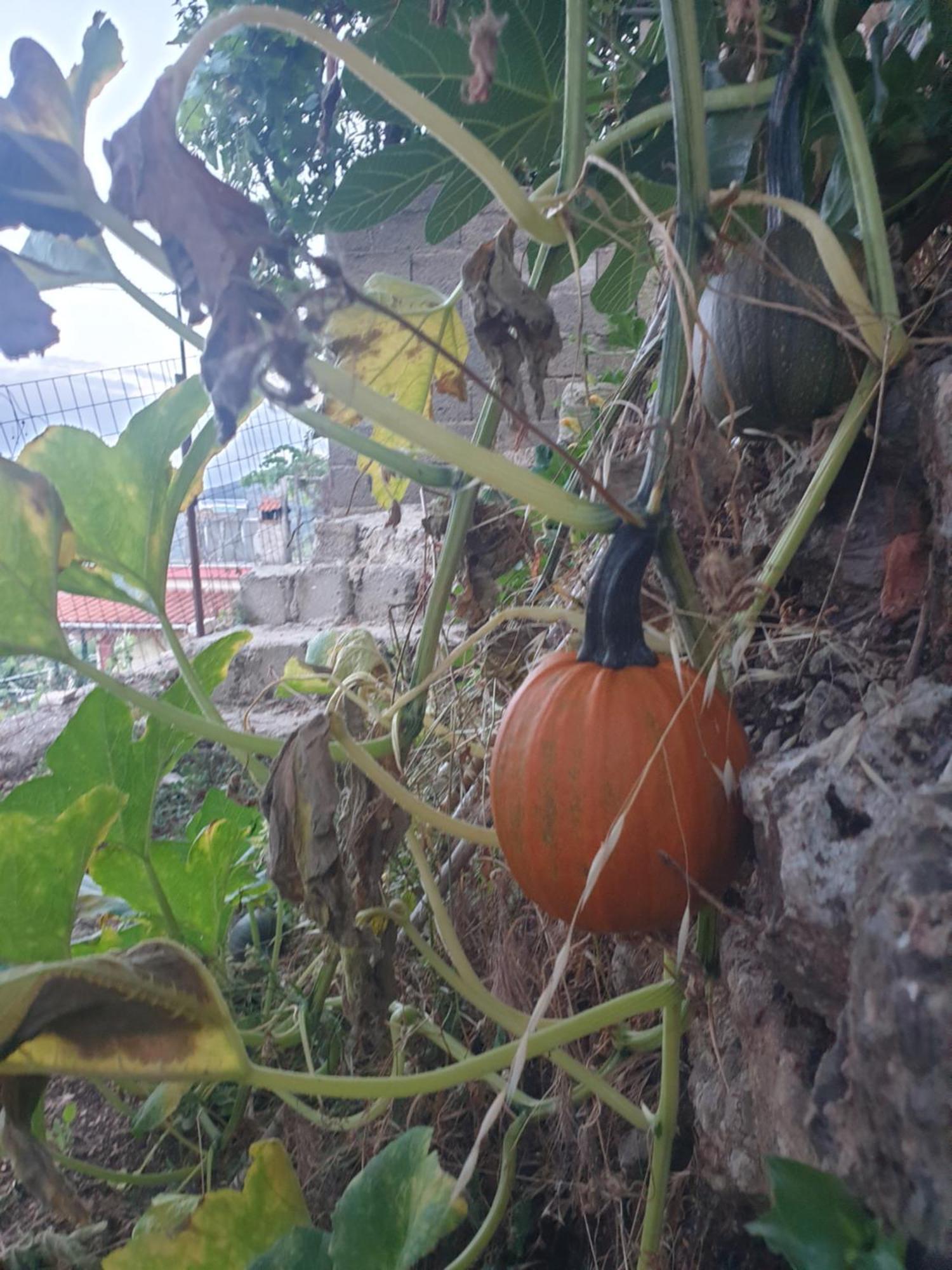 Pensjonat Rosemary House Saranda Zewnętrze zdjęcie