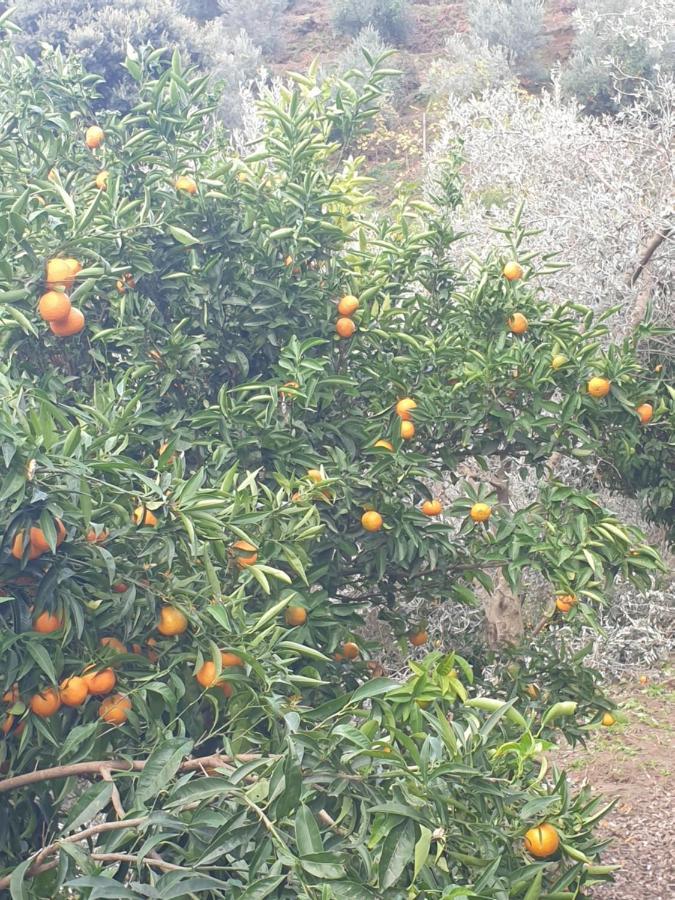 Pensjonat Rosemary House Saranda Zewnętrze zdjęcie