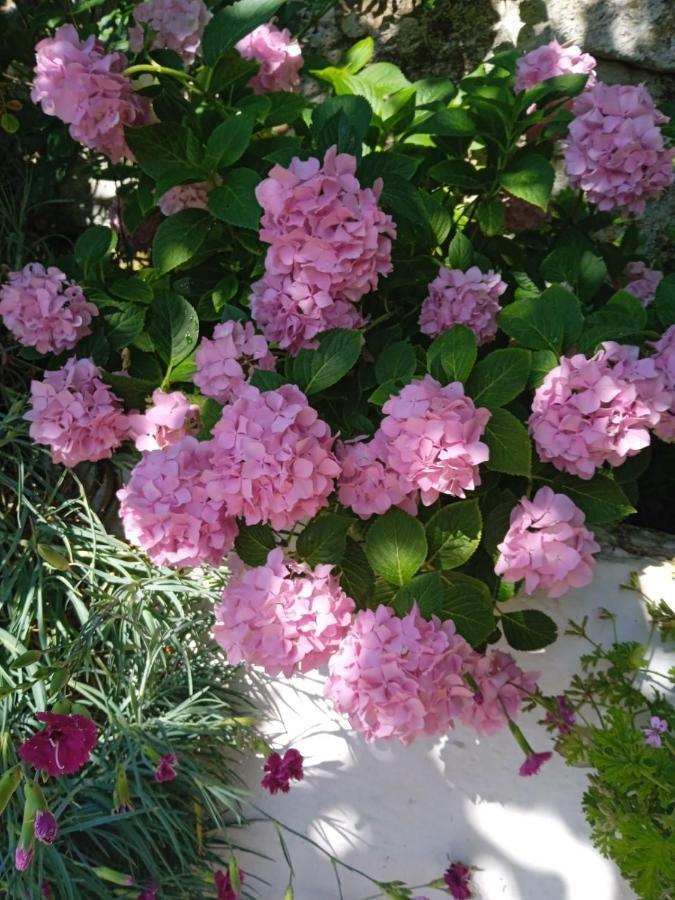 Pensjonat Rosemary House Saranda Zewnętrze zdjęcie
